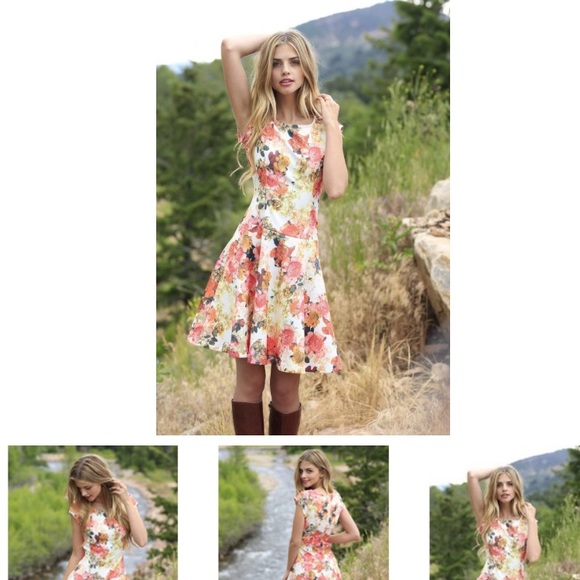 Shabby Apple Mabel Fit & Flare Dress Pink Floral - Picture 5 of 6